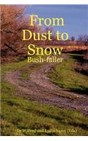 From Dust to Snow