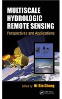 Multiscale Hydrologic Remote Sensing