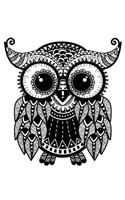 Take A Journey Owl