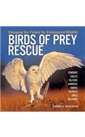 Birds of Prey Rescue: Changing the Future for Endangered Wildlife