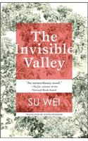 The Invisible Valley