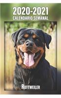 2020-2021 Calendario Semanal Rottweiler