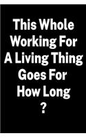 Funny Journal Work