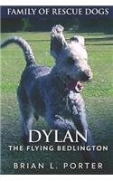 Dylan - The Flying Bedlington: Large Print Edition