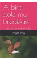bird stole my breakfast
