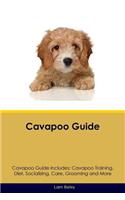 Cavapoo Guide Cavapoo Guide Includes