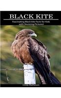 Black Kite: Fascinating Black Kite Facts for Kids with Stunning Pictures!