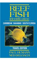 Reef Fish Identification: Caribbean Bahamas South Florida