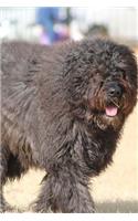 Bouvier des Flandres Notebook