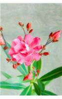 Pink Flowers - Lined Notebook with Margins