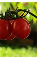 Tomatoes Notebook: 150 lined pages, softcover, 6 x 9