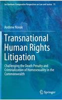 Transnational Human Rights Litigation