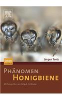 Phanomen Honigbiene