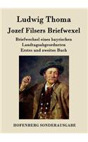 Jozef Filsers Briefwexel: Briefwechsel eines bayrischen Landtagsabgeordneten Erstes und zweites Buch(German)