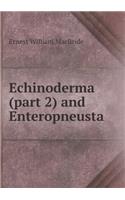 Echinoderma (Part 2) and Enteropneusta