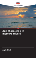 Axe charnière