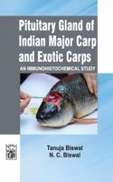 Pituitary Gland Of Indian Major Carp Exotic Carp