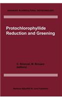 Protochlorophyllide Reduction and Greening