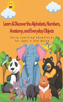 Learn & Discover the Alphabets, Numbers, Anatomy, and Everyday Objects