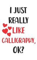 I Just Really Like Calligraphy, Ok? Gift For Men, Women, Kids, Cute Notebook a Beautiful