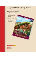 Loose Leaf Version for Beginning & Intermediate Algebra
