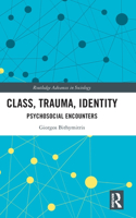 Class, Trauma, Identity: Psychosocial Encounters(Routledge Advances in Sociology)