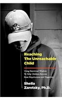 Reaching the Unreachable Child: Using Emotional Wisdom To Help Children Recover from Hopelessness and Negativity