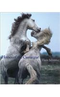 Horses of the Camargue