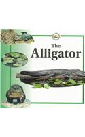 Alligator Life Cycles