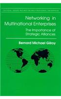 Networking in Multinational Enterprises