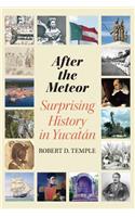 After the Meteor