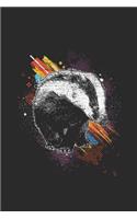Badger With Color Splash
