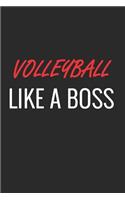 Volleyball Like a Boss