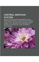 Central Nervous System