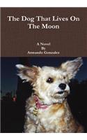 The Dog That Lives on the Moon