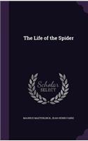 The Life of the Spider