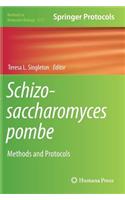 Schizosaccharomyces Pombe