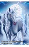 Phantom in the Moonlight Unicorn Journal