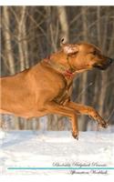 Rhodesian Ridgeback Affirmations Workbook Rhodesian Ridgeback Presents: Positive and Loving Affirmations Workbook. Includes: Mentoring Questions, Guidance, Supporting You.