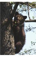 Brown Bear Climbing a Tree in Finland Journal: 150 Page Lined Notebook/Diary