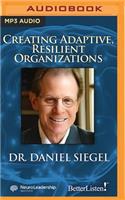 Creating Adaptive, Resilient Organizations