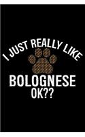 I Just Really Like Bolognese Ok?