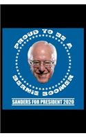 Bernie Sanders for Boomers