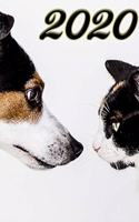 Yearly Calendar "Dog and Cat" for 2020: Jahreskalender, année civile, año calendario, anni di calendario, jarenkalender in english, german, french, spanish, italian, dutsch