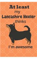 At least my Lancashire Heeler thinks I'm awesome