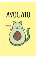 Avogato ¡hola!
