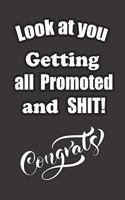 Look at You Getting All Promoted and SHIT!: Lined Journal Gift