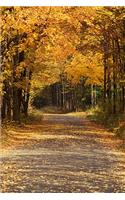2020 Weekly Planner Falling Leaves Fall Season 134 Pages: 2020 Planners Calendars Organizers Datebooks Appointment Books Agendas