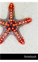 Notebook: Estrellas De Mar, Mar, Rojo, Animal Cuaderno / Diario / Libro de escritura / Notas - 6 x 9 pulgadas (15.24 x 22.86 cm), 150 páginas, superficie bril