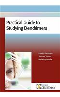 Practical Guide to Studying Dendrimers